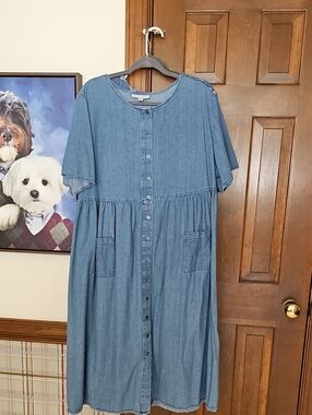 Denim Woman Within Light Blue Chambray Button-Front Dress
